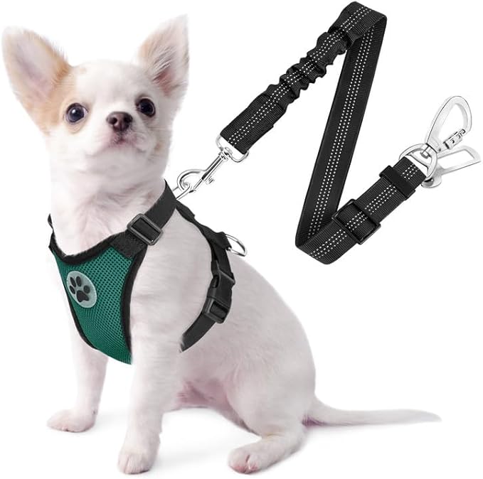 SlowTon Dog Seat Belt Harness for Car, Dog Car Harness Adjustable Mesh Breathable &amp; Dog Seatbelt Safety Tether with Elastic Bungee for Small Medium Large Pets(Green, Double Clip, XXS)