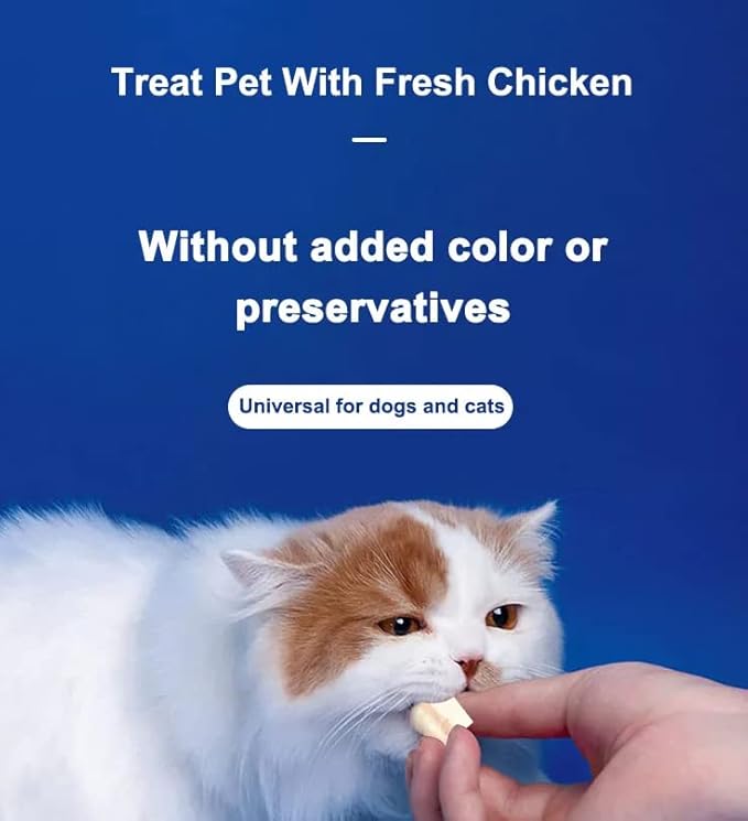 Organic Freeze Dried Dog &amp; Cat Treats - Single Ingredient, Grain Free Food Toppers for Healthy Pets, No Fillers or Preservatives (1 Bag, Salmon)