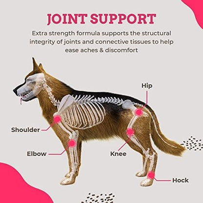 Paws &amp; Pals Glucosamine Chondroitin MSM for dogs 240 Count, Hip and Joint Mobility Soft Chews Supplement, Pain &amp; Inflammation Relief for all breeds - Maximum Strength, Treats Hip Dysplasia &amp; Arthritis
