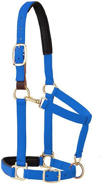 Weaver Equine Breakaway Horse Halter, Comfort Foam Padding, Adjustable Chin &amp; Throat Snap Halters for Horses, Equine Tack,Average Size, Purple