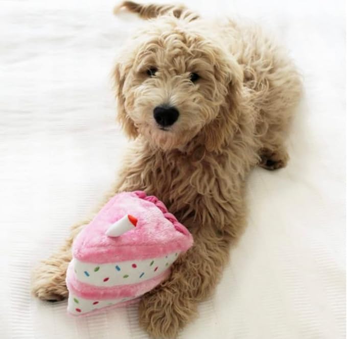 ZippyPaws Birthday Box - Dog Squeaky Toys to Keep Them Busy, Funny Food Plush for Small, Medium, &amp; Large Dogs, Cute Stuffed Puppy Toy &amp; Hat, Pet Products, Gift for Dogs of All Breeds - 3-Pack, Pink