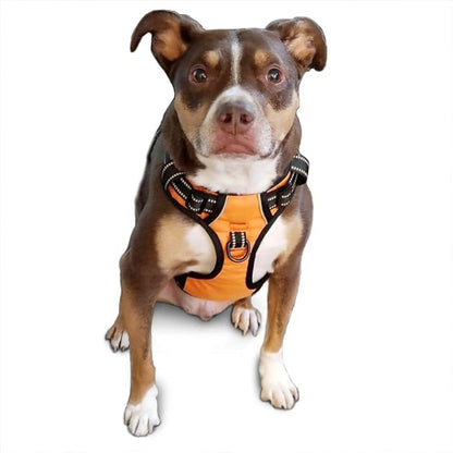 PoyPet No Pull Dog Harness, Reflective Comfortable Vest Harness with Front &amp; Back 2 Leash Attachments and Easy Control Handle Adjustable Soft Padded Pet Vest for Small to Large Dogs (Orange,M)