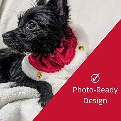Huxley &amp; Kent Ruff Pet Scrunchy | Santa (Medium) | Festive Christmas/Holiday Neckwear for Dogs/Cats | Fun Stretchable Costume Accessory | Soft Collar with Bells