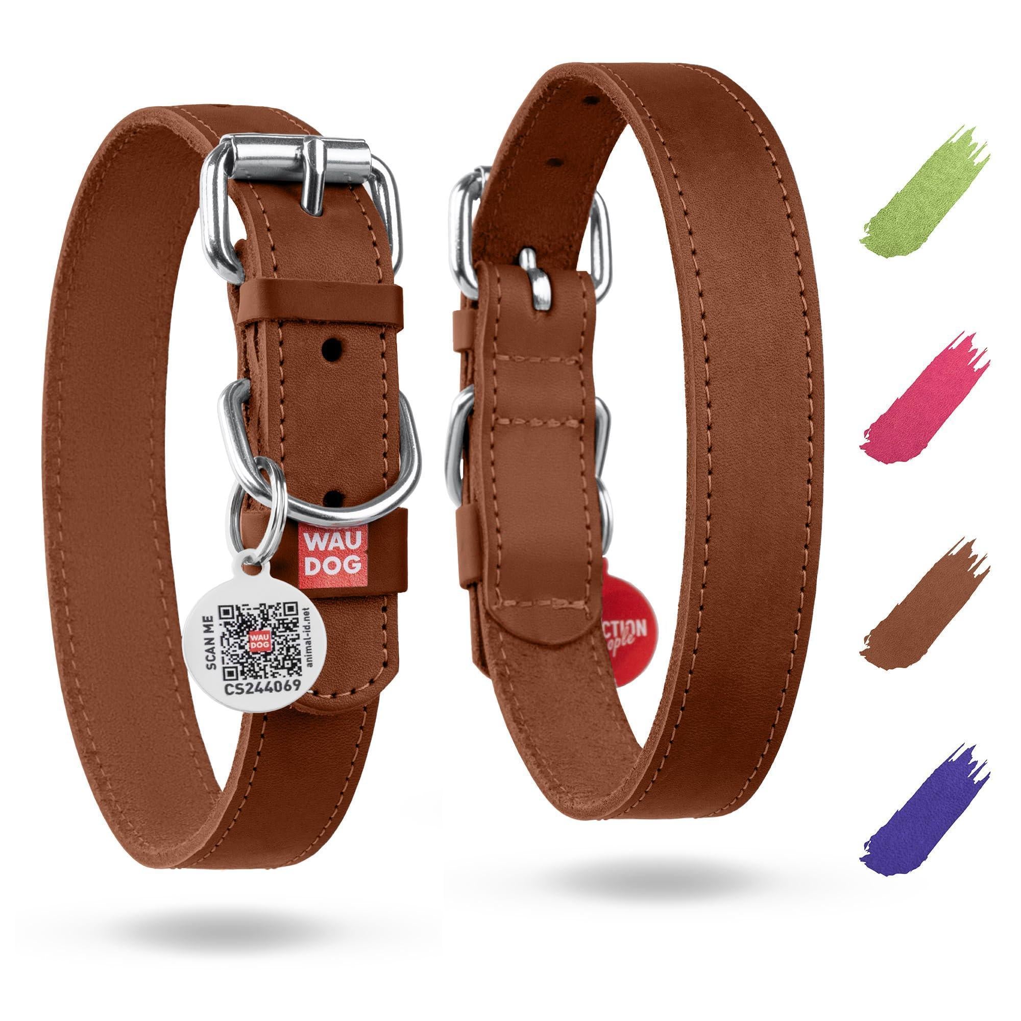 Leather Dog Collar Small &amp; Medium Dogs 12–15 in Neck Brown