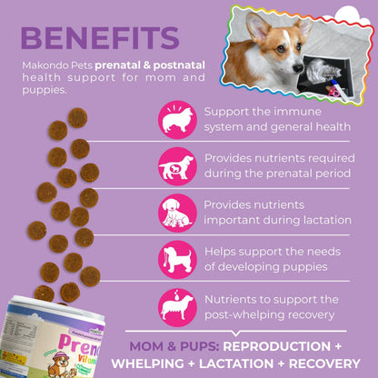 Dog Prenatal Vitamins 120 Soft Chews Folic Acid Zinc B-Complex DHA &amp; EPA