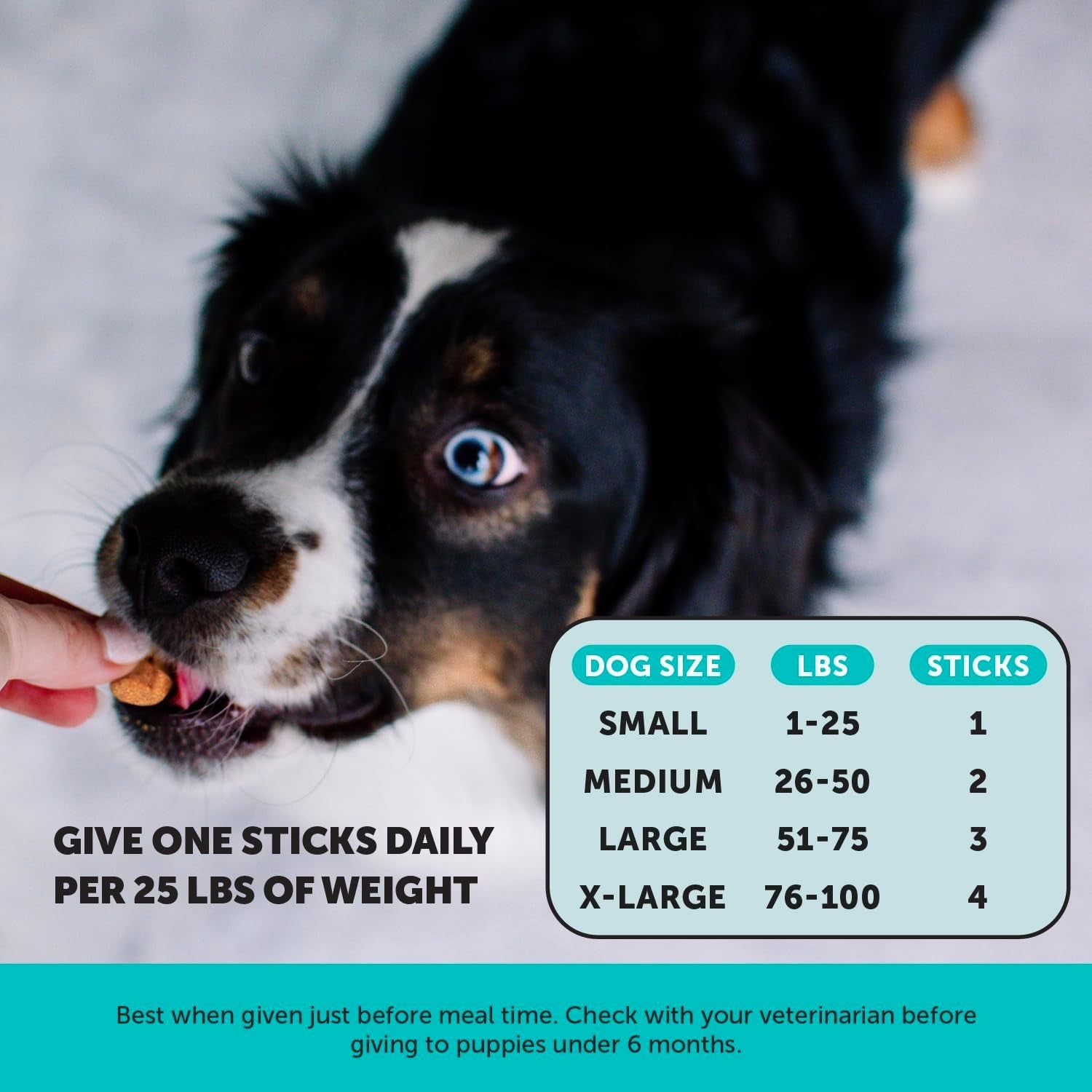 Dog Calming Bundle Hemp Calming Chews &amp; Dental Sticks Anxiety Support