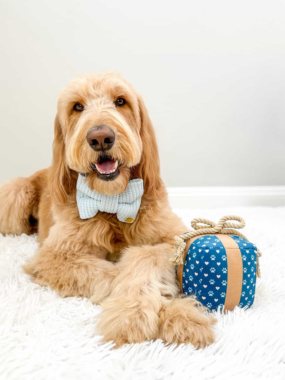 PUPROAR Gift Box Dog Toy | Cute Squeaky Birthday Dog Toy with Rope Bow