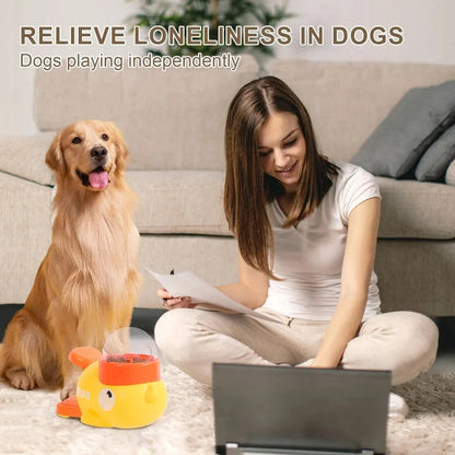 Automatic Interactive Pet Feeder