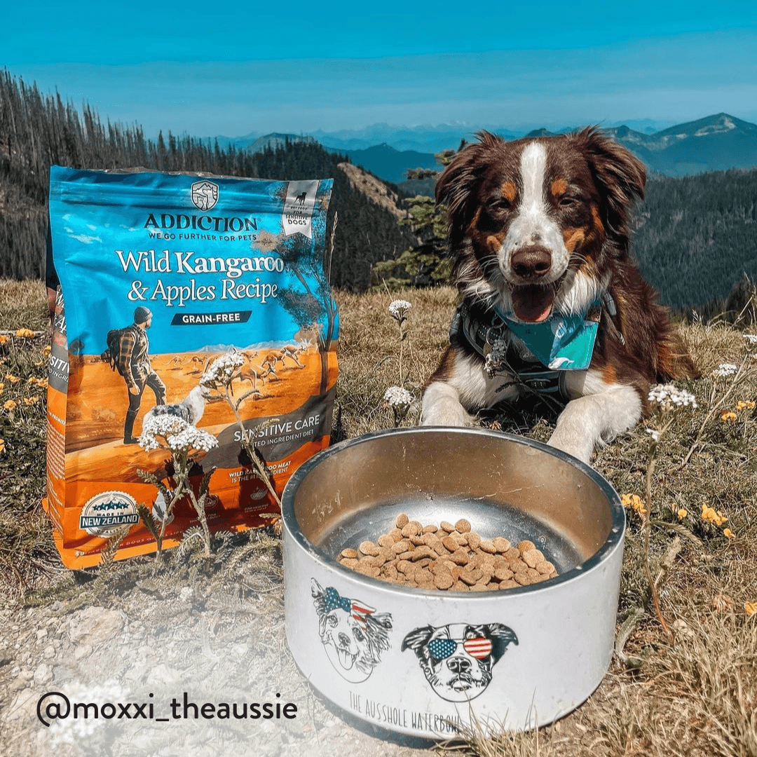 Wild Kangaroo &amp; Apples Recipe Dry Dog Food