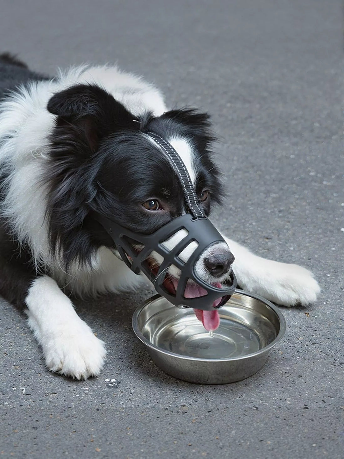 Breathable Basket Dog Muzzle