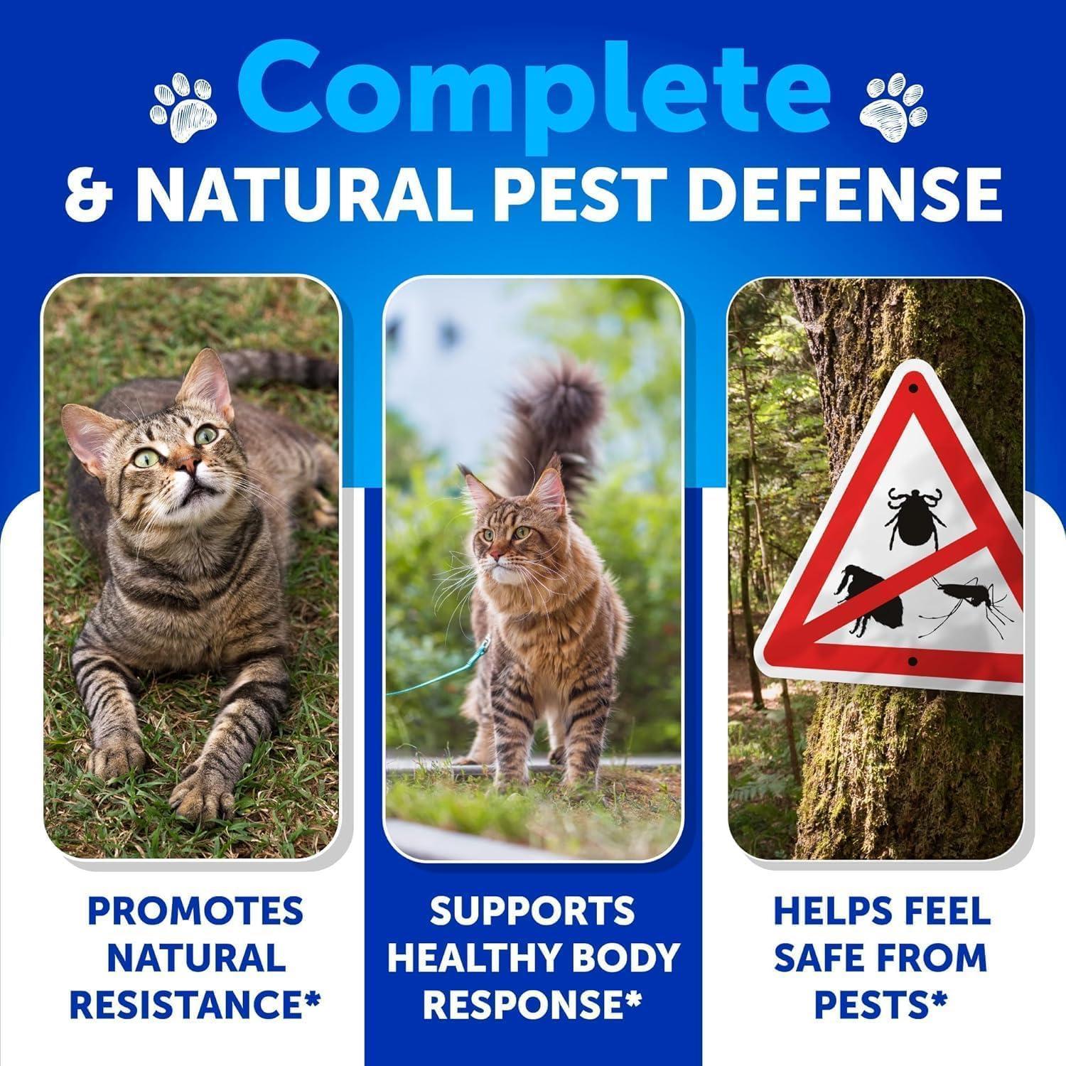 Flea &amp; Tick Chews for Cats &amp; Kittens 135 Count Daily Oral Skin &amp; Coat