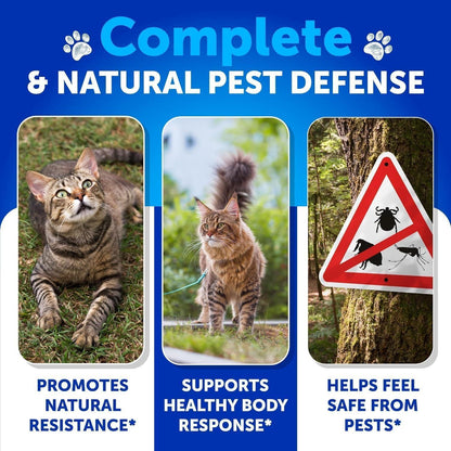 Flea &amp; Tick Chews for Cats &amp; Kittens 135 Count Daily Oral Skin &amp; Coat