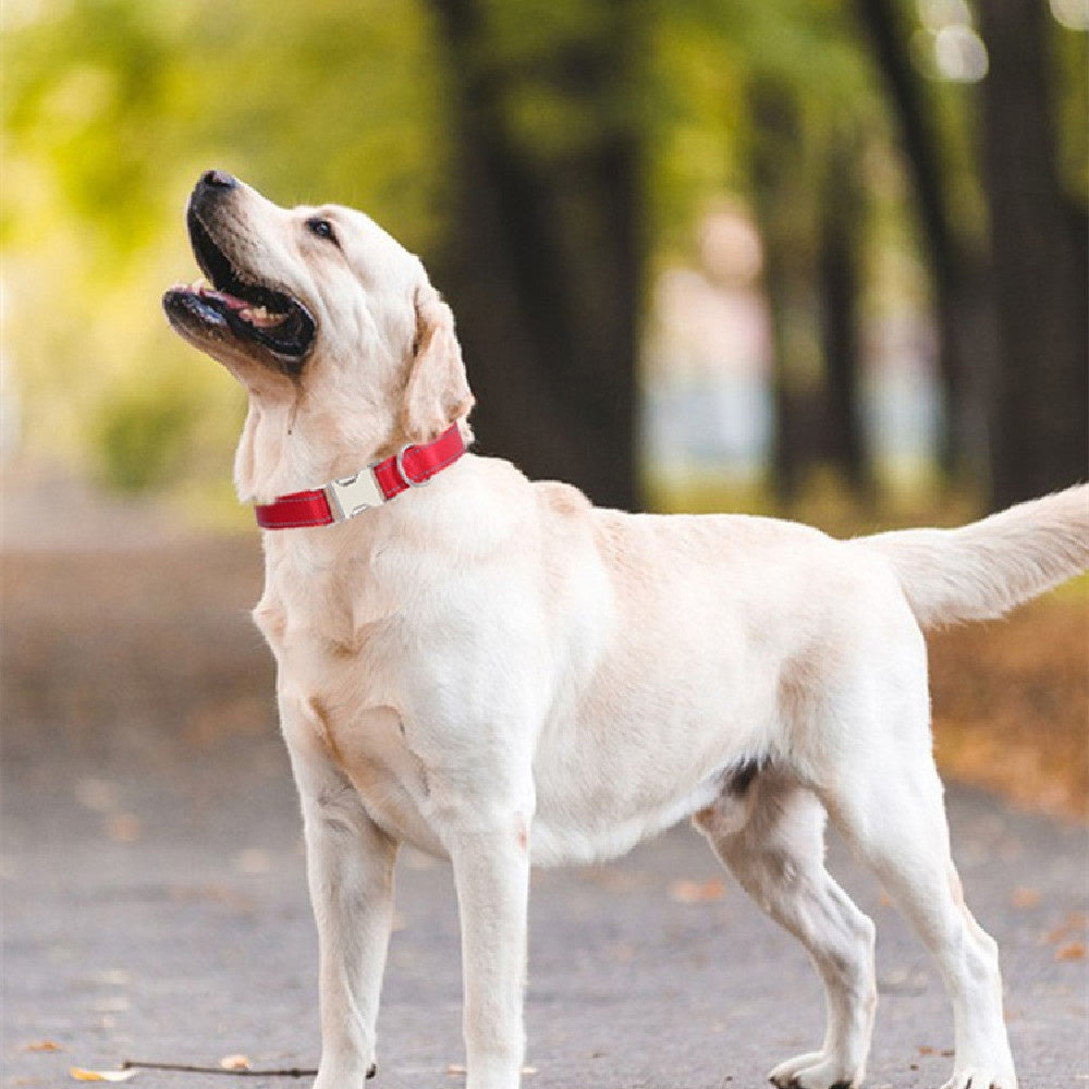 Nylon Reflective String Dog Collar
