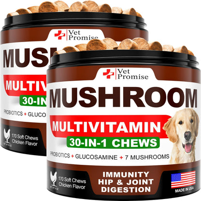 Mushroom Chews for Dogs 340 Count 2-Pack Turkey Tail Lion&