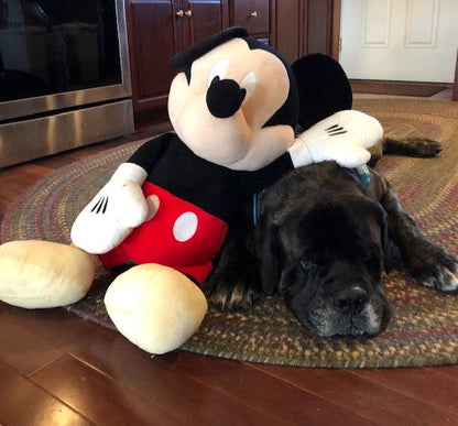 Mickey Mouse Squeak &amp; NO Squeak Dog Toys: All Sizes
