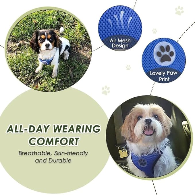 SlowTon Dog Seat Belt Harness for Car, Dog Car Harness Adjustable Mesh Breathable &amp; Dog Seatbelt Safety Tether with Elastic Bungee for Small Medium Large Pets(Blue, Double Clip, XXS)