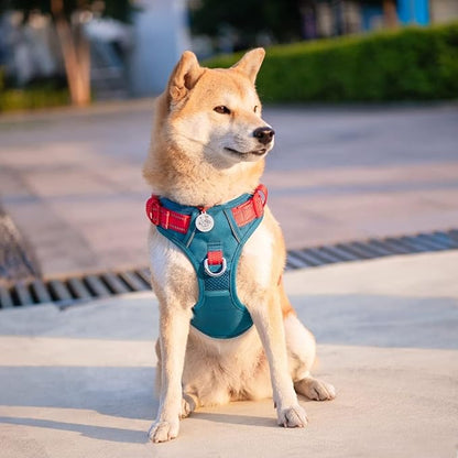 PHOEPET No Pull Dog Harness, Unique Colors Reflective Adjustable Dog Vest, with Soft Training Handle Metal Clips for Small Medium Large Dogs (Teal Base &amp; Red Straps,S)