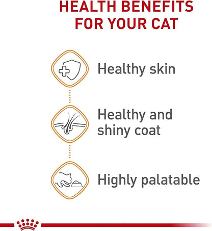 Royal Canin Hair &amp; Skin Care Chunks in Gravy Wet Cat Food Pouch, 3 oz pouch (12-count)