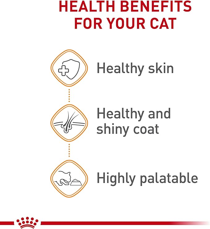 Royal Canin Feline Care Nutrition Hair &amp; Skin Care Loaf in Sauce Canned Cat Food, 5.1 oz can (24-count)