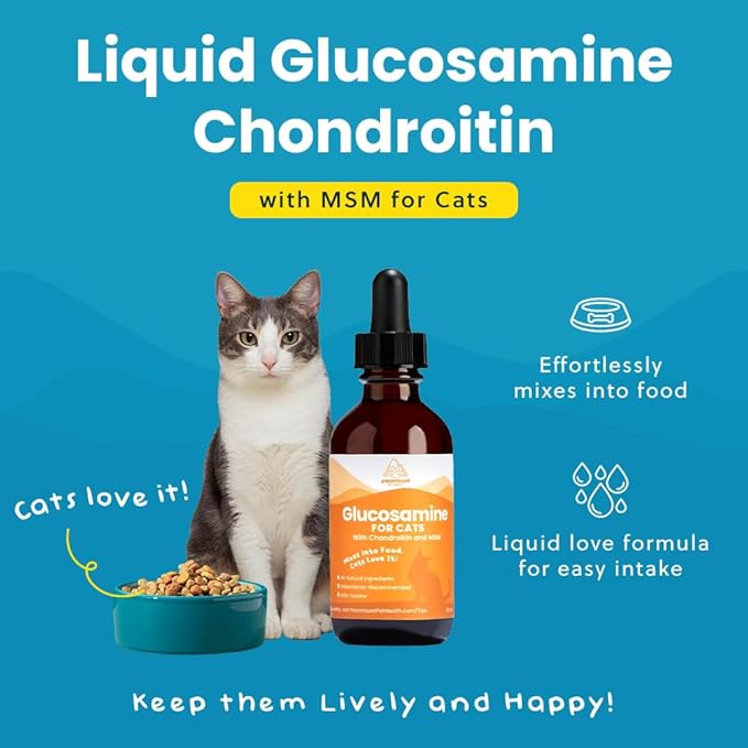 100% Natural Liquid Glucosamine Chondroitin with MSM for Cats, Hip &amp; Joint Supplement for Senior Felines, Arthritis Support &amp; Mobility Booster Glucosamine Drops, 2 Oz
