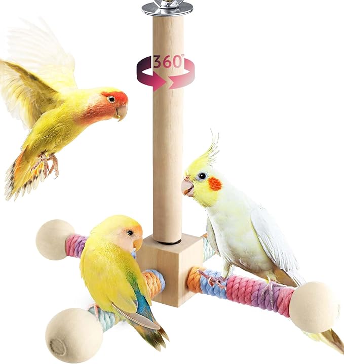 Bird Stand Perch Toy for Small &amp; Medium Birds, 360° Rotating Natural Wooden Parrot Perchs for Bird Cages, Interactive Spinning Toy fo Parrot Parakeets Cockatiels Lovebirds Conures Finches Budgies