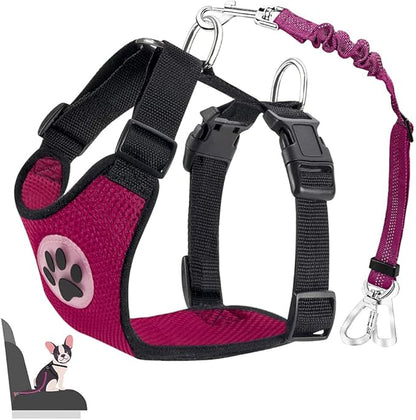 Lukovee Dog Seat Belt for Car, Adjustable Dog Car Harness for Large Medium Small Dogs, Soft Padded &amp; Breathable Mesh Dog Seatbelt with Car Strap and Carabiner(Rose Double Clip,XXX-Small)