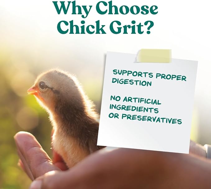 Manna Pro Chick Grit Digestive Supplement for Young Growing Poultry &amp; Bantam Breeds, No Artificial Ingredients or Preservatives, Natural Supplement with Insoluble Crushed Granite, 5 lbs