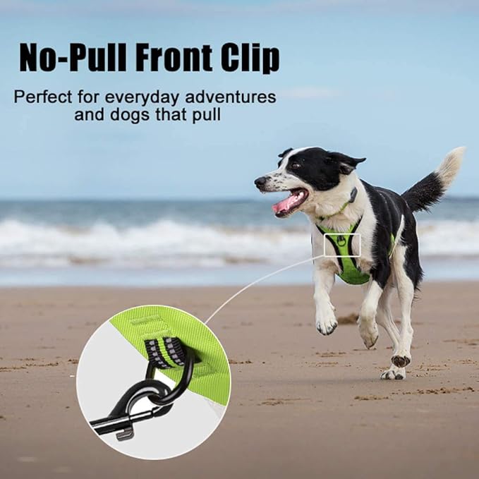 PoyPet No Pull Dog Harness, Reflective Comfortable Vest Harness with Front &amp; Back 2 Leash Attachments and Easy Control Handle Adjustable Soft Padded Pet Vest for Small to Large Dogs (Green,L)