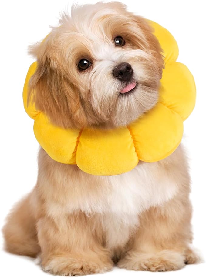 HOMBYS Soft Dog Cone for Dogs and Cats, Cute &amp; Fluffy Flower Shape for Claming, Adjustable Dog Collar Alternative After Surgery, Protective Elizabethan Collar for Dogs Recovery &amp; Stop Licking, S