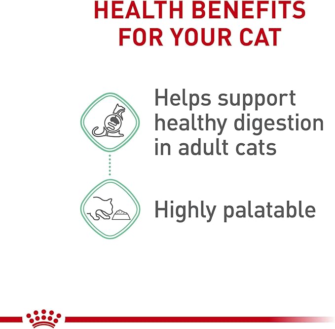 Royal Canin Feline Care Nutrition Digestive Care Loaf in Sauce Canned Cat Food, 5.1 oz can (24-count)