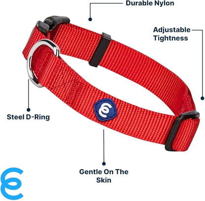 Blueberry Pet Essentials Medium Dog Collar in Rouge Red | Adjustable &amp; Eco-Friendly Durable Nylon Strap | Classic Collar for Medium Dogs, Boy &amp; Girl Pets