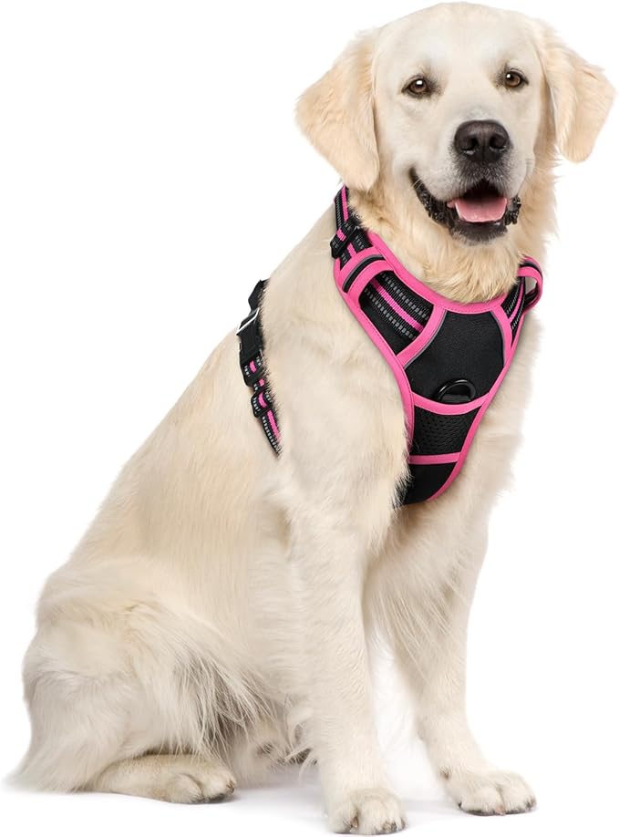 rabbitgoo Dog Harness No Pull with 2 Leash Clips, Adjustable Soft Padded, Reflective Oxford No Choke Pet Vest with Easy Control Handle for Large Dogs, Black &amp; Hot Pink, XL