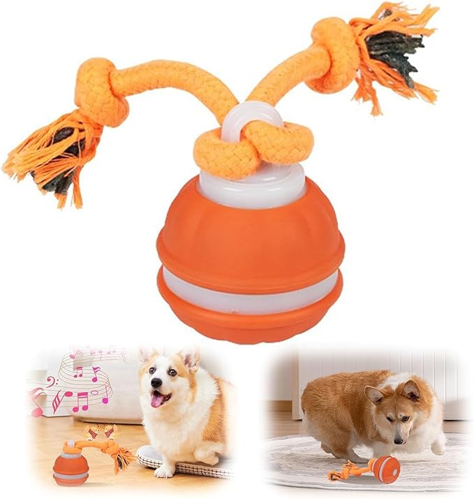 2026 New Interactive Pet Toy Ball, Smart Interactive Ball for Cats &amp; Dogs, Electric Rolling Pet Toy Ball, Rechargeable Interactive Cat Toys for Bored Indoor Cats Kittens to Keep Busy (Orange)