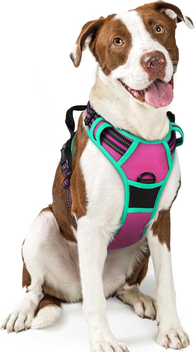 rabbitgoo Dog Harness No Pull with 2 Leash Clips, Adjustable Soft Padded, Reflective Oxford No Choke Pet Vest with Easy Control Handle for Large Dogs, Hot Pink &amp; Turquoise, L