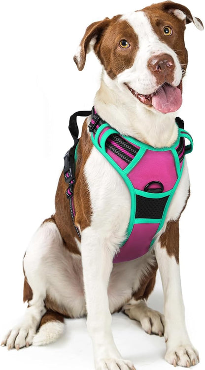rabbitgoo Dog Harness No Pull with 2 Leash Clips, Adjustable Soft Padded, Reflective Oxford No Choke Pet Vest with Easy Control Handle for Large Dogs, Hot Pink &amp; Turquoise, L
