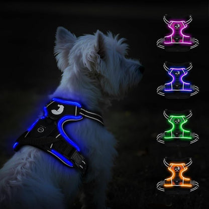 Taglory Light Up Dog Harness, Rechargeable No Pull Dog Vest with 3 Lightning Modes, Reflective Dog Harness with 2 Leash Clips &amp; 4 Adjustable Slide Strips for Small Dogs, Black-Blue, S