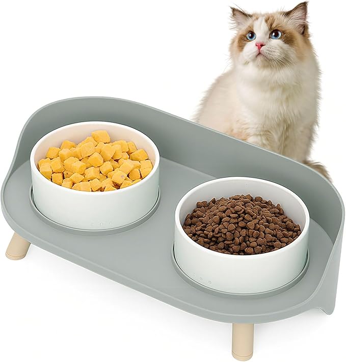 Elevated Dog Bowls Set, Ceramic Pet Food &amp; Water Bowls with Non-Slip Stand, No Spill Design for Cats/Small Medium Dogs Gray
