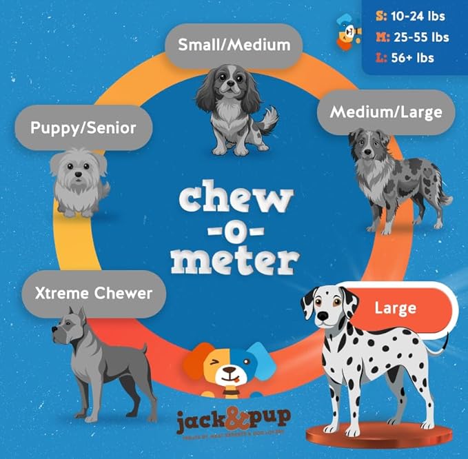 Jack&amp;Pup 6" Bully Sticks for Dogs | Jumbo Odor Free Pizzle Sticks for Large Dogs | Single Ingredient, 100% Beef (Jumbo, 24 Pack)