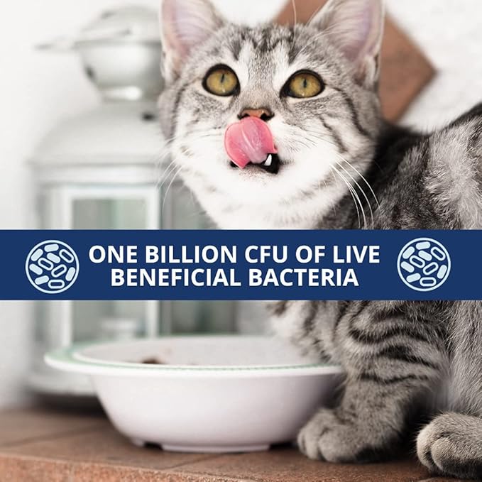 Under the Weather Pet Probiotics Powder for Cats | Vet Formulated Probiotic Supplement for Digestive Gut Health | Promotes Good Digestion &amp; Immunity | Aids Occasional Diarrhea for Cats (2.54 Oz)