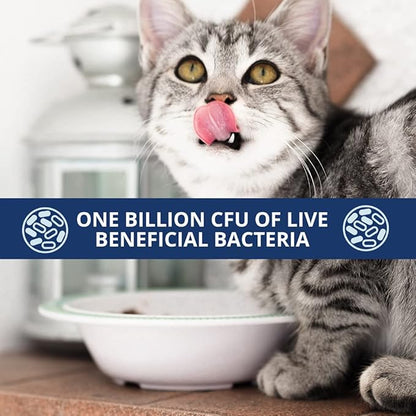Under the Weather Pet Probiotics Powder for Cats | Vet Formulated Probiotic Supplement for Digestive Gut Health | Promotes Good Digestion &amp; Immunity | Aids Occasional Diarrhea for Cats (2.54 Oz)