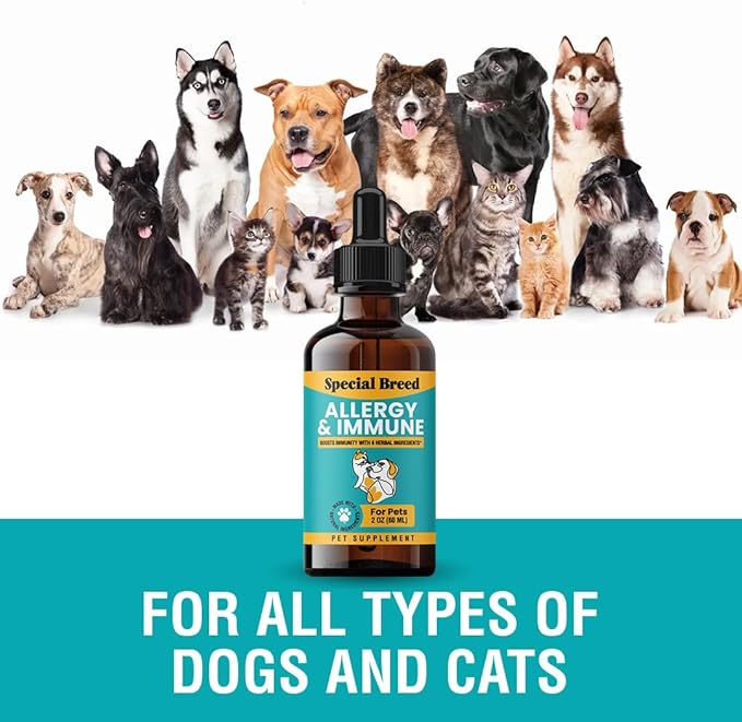 Special Breed Allergy &amp; Immune with Elderberry, Allergy Relief for Cats and Dogs, Anti Itch Treatment, Relief for Pet Allergies, Immune Support for Cat or Dog, 2 oz