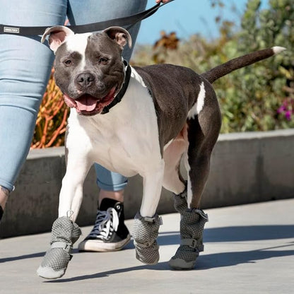 Canada Pooch Dog Boots for Hot Pavement - Dog Boots &amp; Paw Protectors with Anti Slip Rubber | Water Friendly, Breathable Dog Shoes for Hot Days, Great for Dogs Grey - Size 2