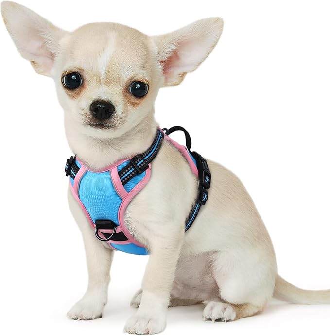 Eagloo Small Dog Harness No Pull, Service Vest with Reflective Strips and Control Handle, Adjustable and Comfortable for Walking, No Choke Pet Harness with 2 Metal Rings, Pink &amp; Blue, XS