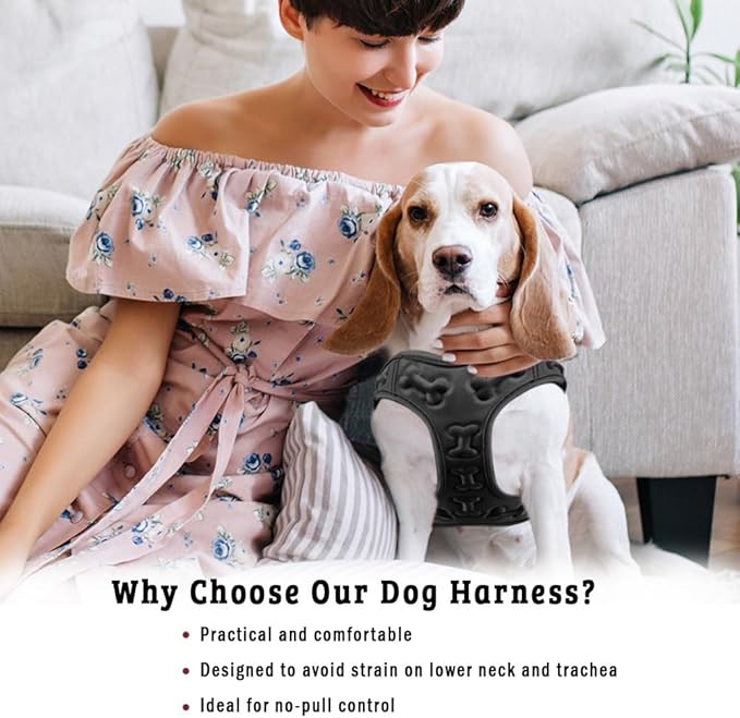 Comfort Fit Dog Harness No Pull No Escape Harness Adjustable Buckles Soft Padded Reflective Choke Step in Dog Vest with Easy Control Handle for Small Medium Large Dogs &amp; Puppies