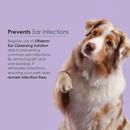 Ear Cleansing Solution with Aloe Vera for Dogs &amp; Cats, Anti-Irritant Formula with Neutral pH and Aloe Vera, Deodorize &amp; Gently Clean - 8 fl oz