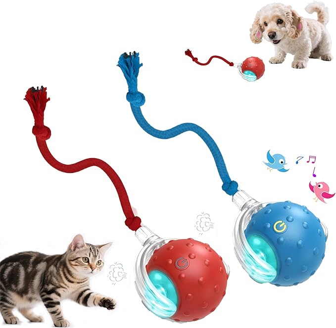 2-Pack Interactive Cat Toys Ball - 2025 New Gen with Smart Obstacle Avoidance,Bird Chirps &amp; Auto Wake-Up,Includes 2 Speedy Tail 2.0 Ropes, Ideal Kitten Toys for Bored Indoor Cats (Red &amp; Blue)