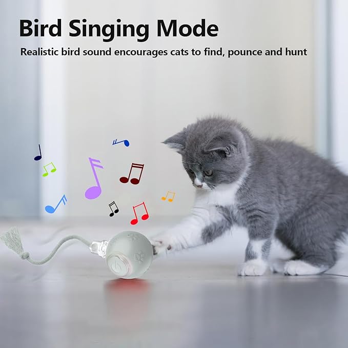 Interactive Cat Toys, Automatic Moving Cat Toy for Bored Indoor Adult Cats, Fast Rolling, Chirping &amp; Motion-Activated Cat Toys, Fun Gift for Cats with Speedy Tail 2.0, USB Rechargeable(Gray)