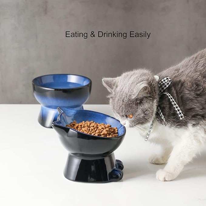 Nihow Elevated Cat/Dog Bowls Set : 6.2 Inch Ceramic Raised Cat Food &amp; Water Bowl Set for Protecting Pet&