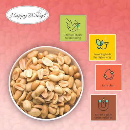 Shelled Peanuts Seeds Combo Wild Bird Food - 10 Pounds- 5 Pounds Combo Pack of 2 I No Grow Seed I Bird Food for Wild Birds