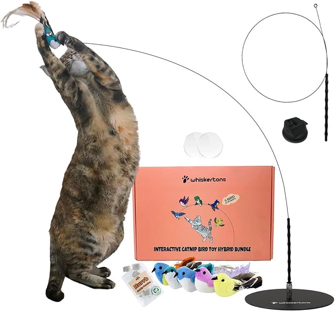 Interactive Catnip Bird Toy Set, Interactive Cat Toys for Indoor Cats, Cat Feather Toy, Suction Cup, Weighted Base, 5 Replacement Birds, Feathers &amp; Bells, Realistic Bird Impression